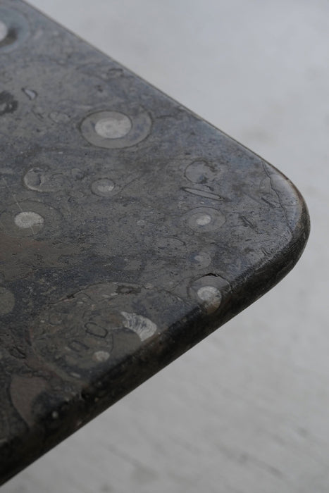 FOSSIL STONE SIDE TABLE<BR><BR>SOLD OUT